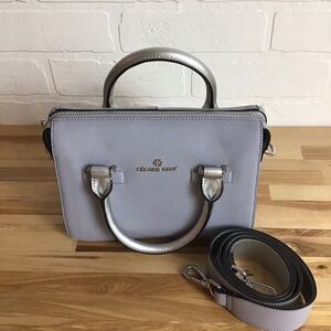 𝅺CELINE Dion mini bag purse silver grey crossbody bag handbag